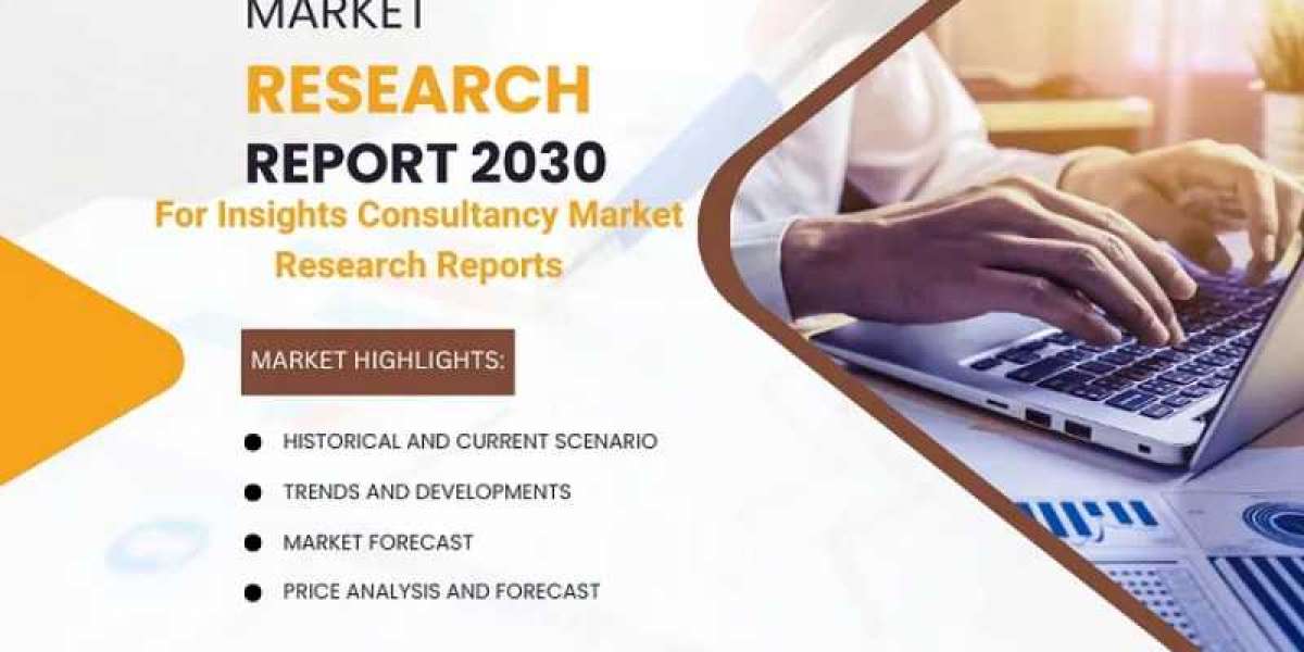 Electronic Flight Bag Market Growth, Size, Share, Trends, and Forecast 2030