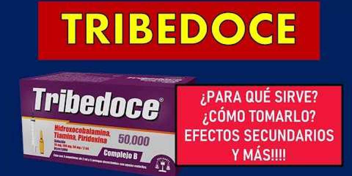Propiedades del romero, para qué sirve y cómo prepararlo Guía práctica