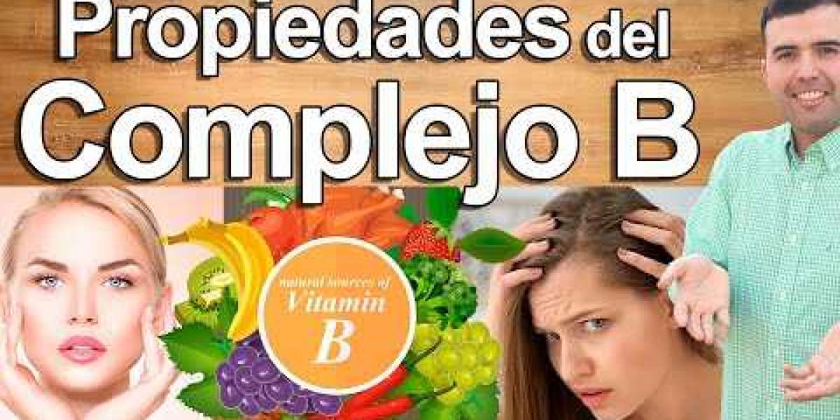 Descubre las Mejores Marcas de Gelatina sin Azúcar que No Te Puedes Perder