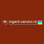 ingerii cerului Profile Picture