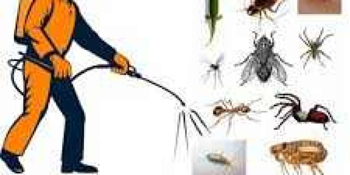Reclaim Your Syracuse Home: A Guide to Effective Pest Control