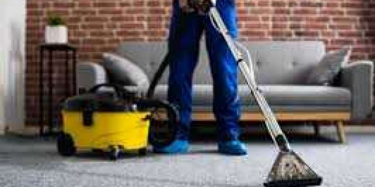 How Professional Carpet Cleaning Enhances Home Wellness and Comfort