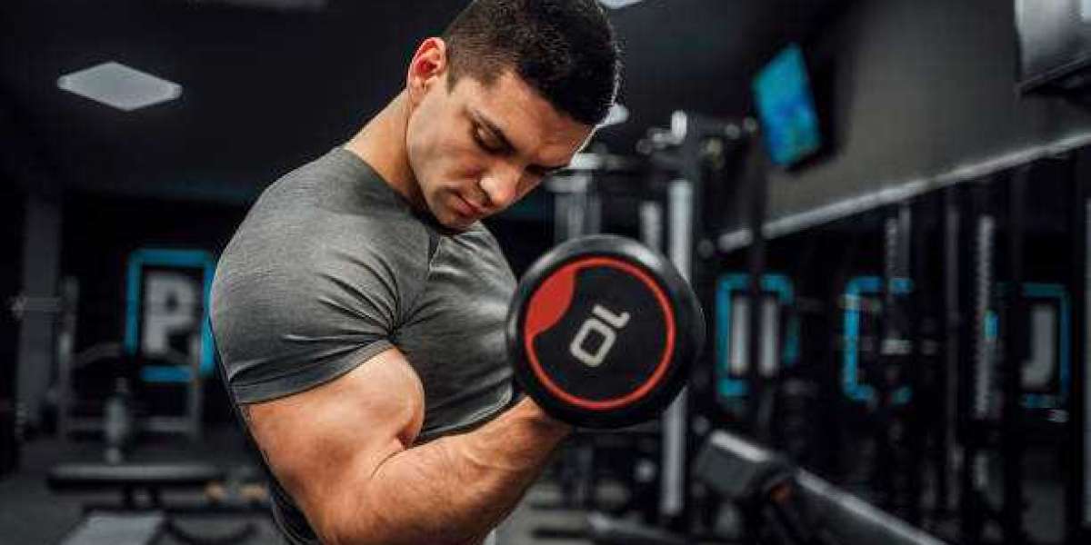 Best Legal Supplements For Muscle Growth: Unleash Your Potential with These Legal Supplements