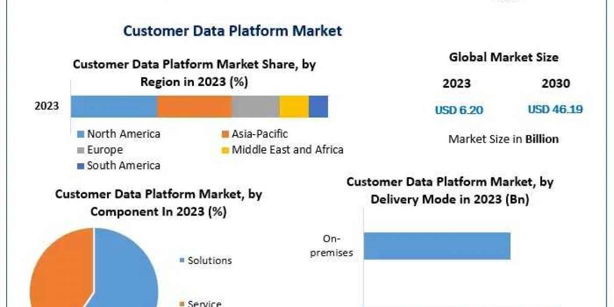 Customer Data Platform Market Revenue and Competitive Landscape Overview (2024-2030)