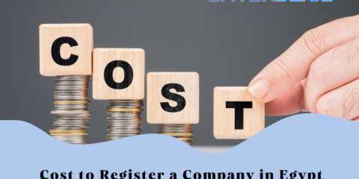 How Much Does It Cost to Register a Company in Egypt?