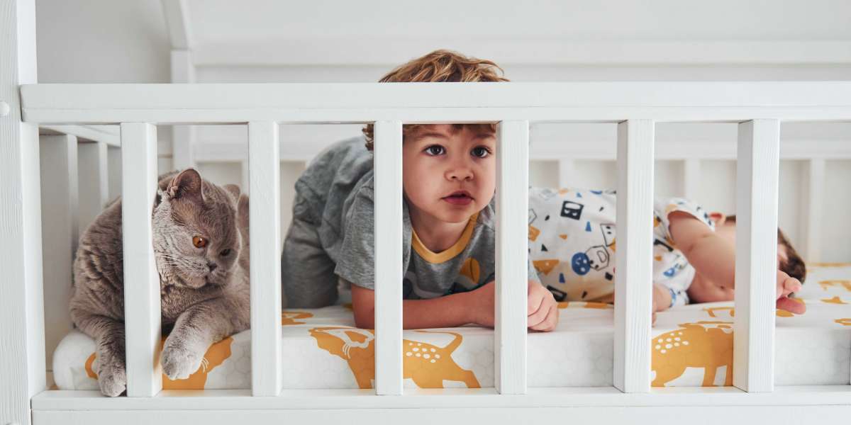 10 Locations Where You Can Find Cot Bed