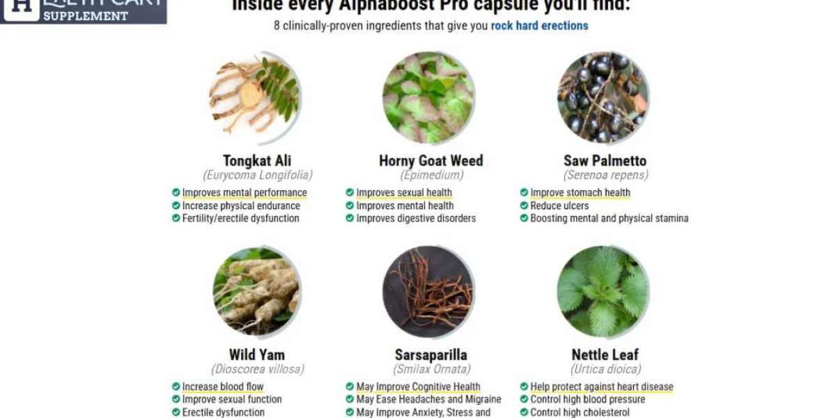 Alpha Boost Pro – Elevate Your Strength, Focus, and Stamina