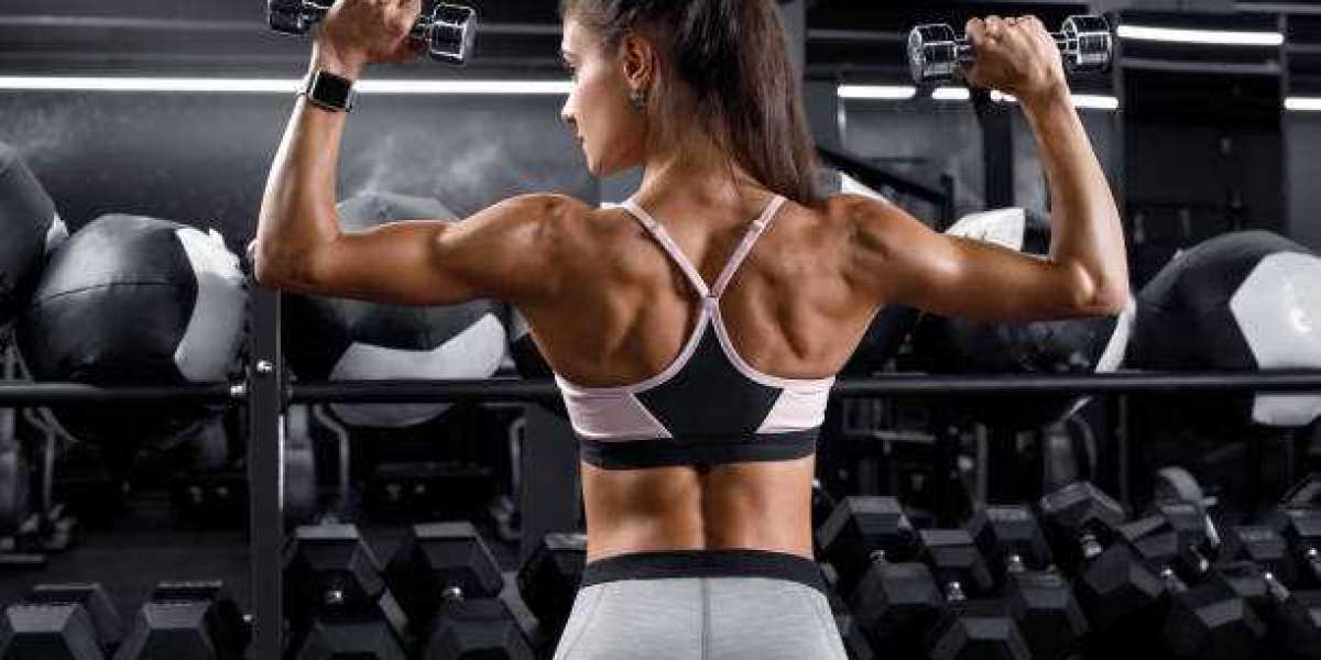 Can D-Bal Max Reviews Help You Achieve Your Fitness Goals?