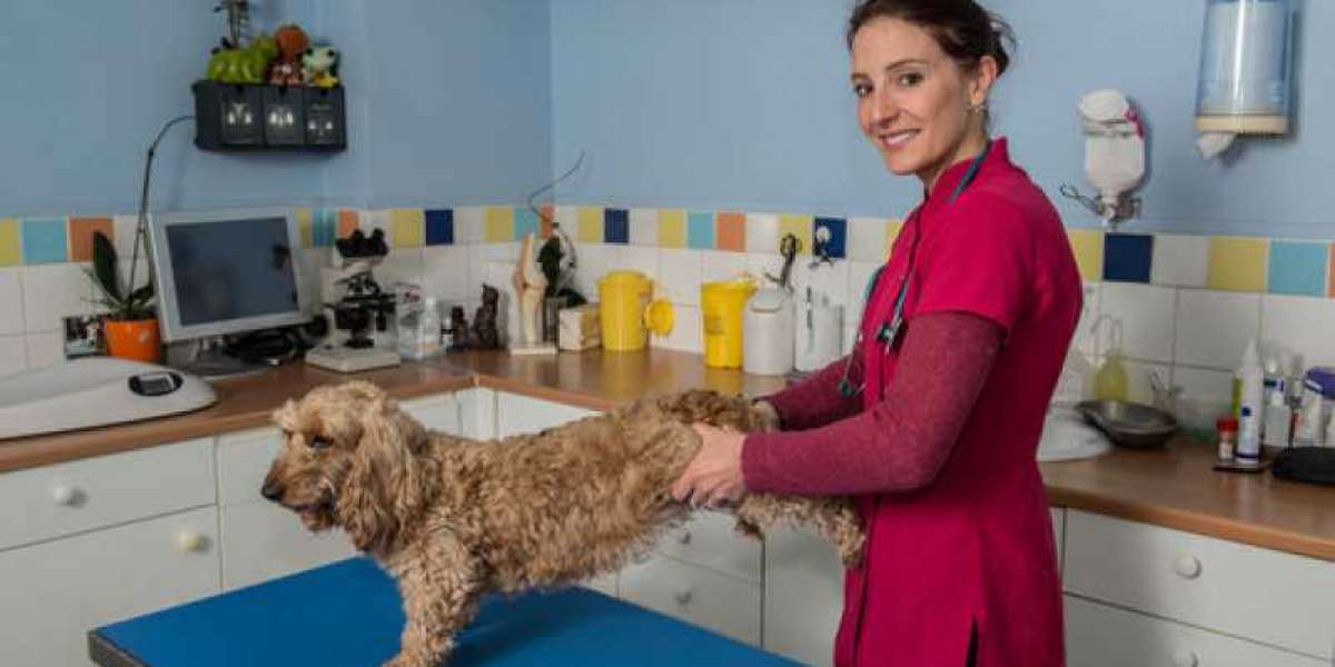 Improving Your Dog's Lab Tests: Dog Fecal and Urine Samples Dr Buzby's ToeGrips for Dogs