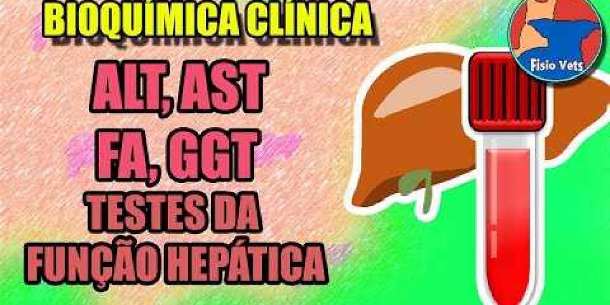Sinais de Alerta: Como Tratar a Descamação da Pele do Seu Pet e Proporcionar Alívio