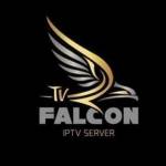 falcon live Profile Picture