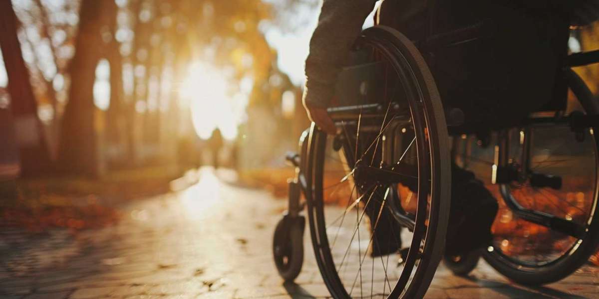 Exploring the Best Free Family Tree Software for Your Genealogy Needs