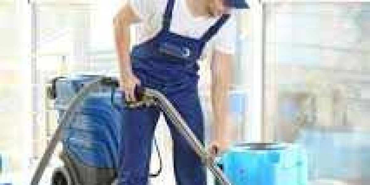 Boost Your Home’s Wellness with Regular Carpet Cleaning