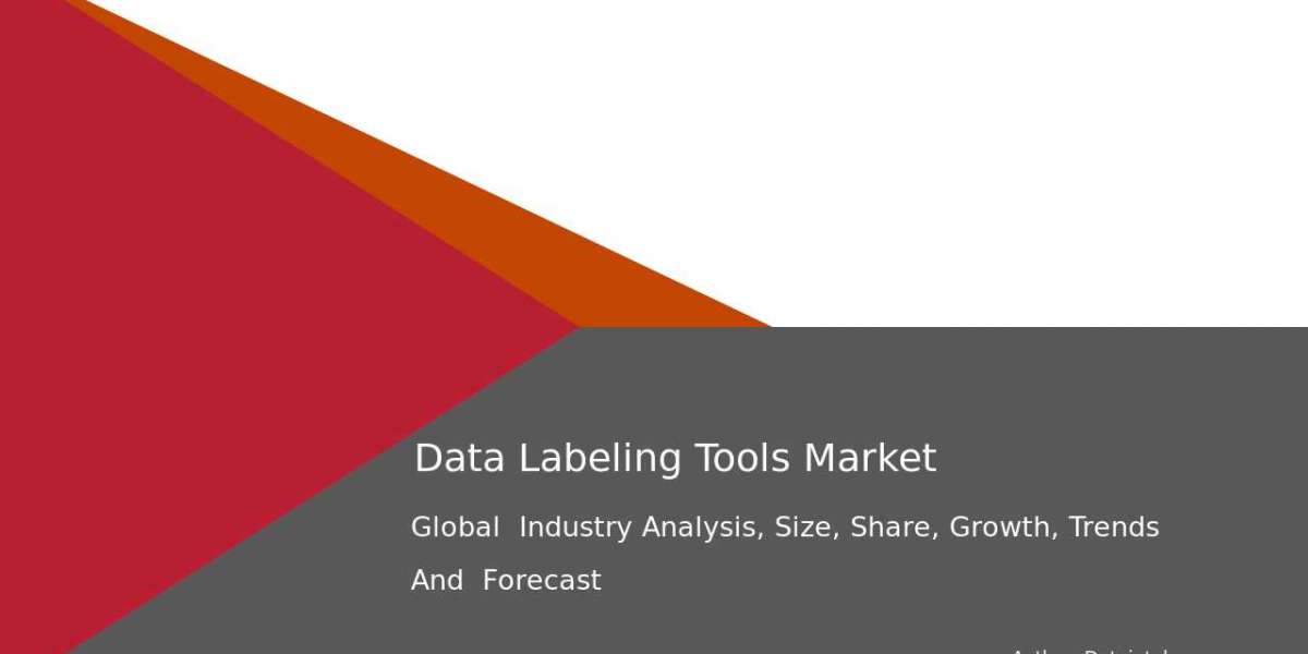 Future Insights: Data Labeling Tools Market Trends and Analysis 2032