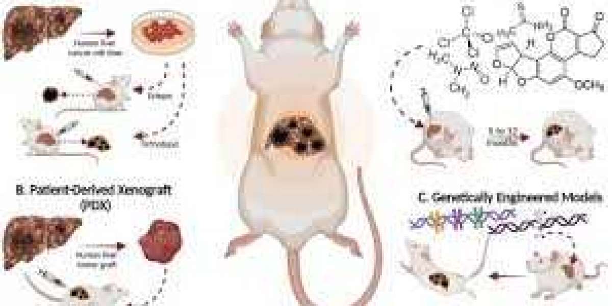 Animal Tumor Models: A Crucial Tool in Cancer Research