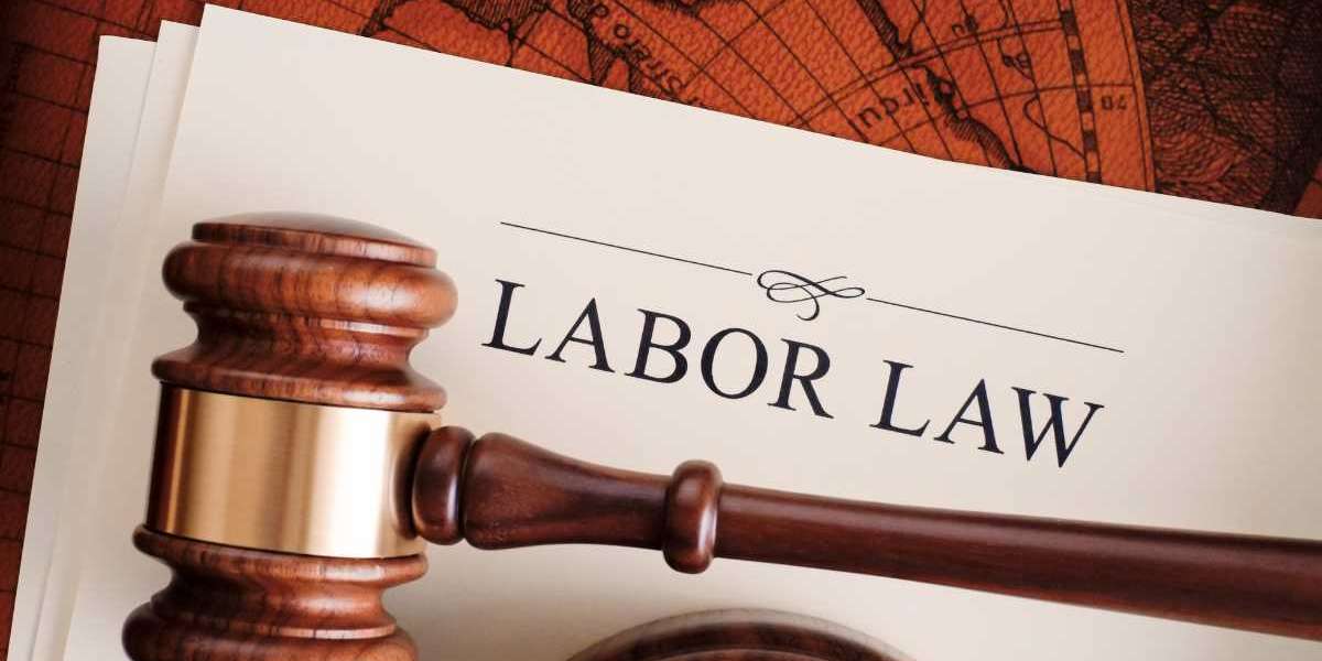 Expanding Across 20+ States: Navigating Regional Labour Law Variations