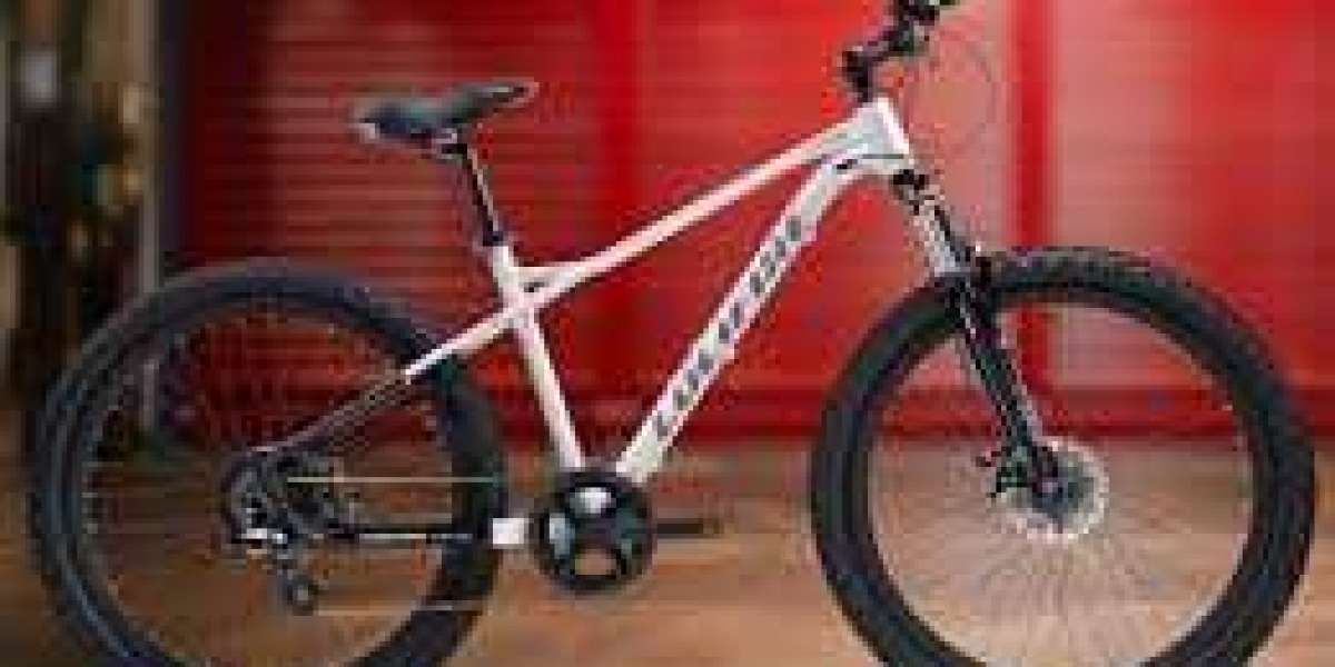 Lucifire Bikes: Where Performance and Style Meet on Two Wheels