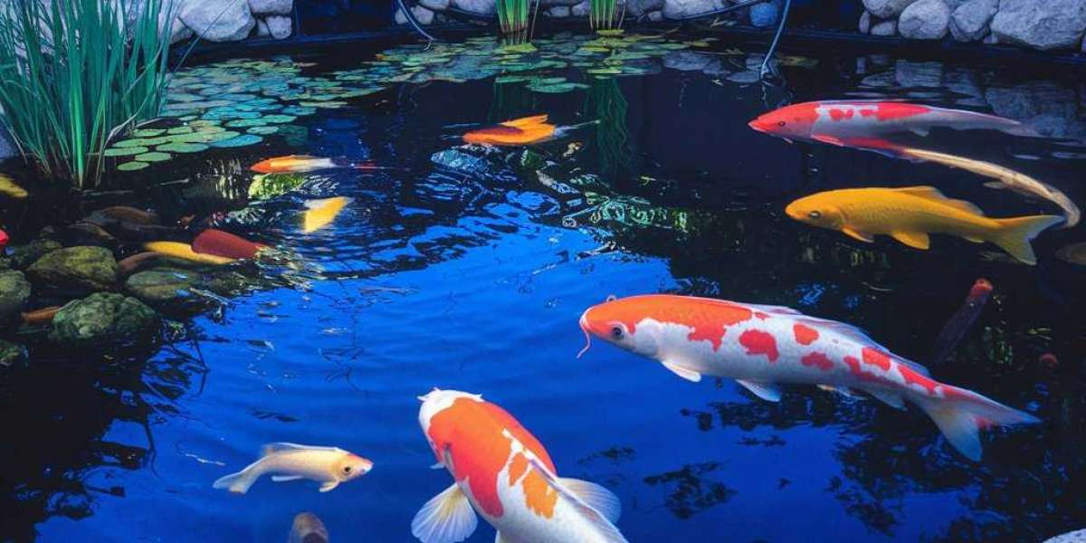 Keep Your Pond Healthy & Thriving with a Pond Heater! ❄️