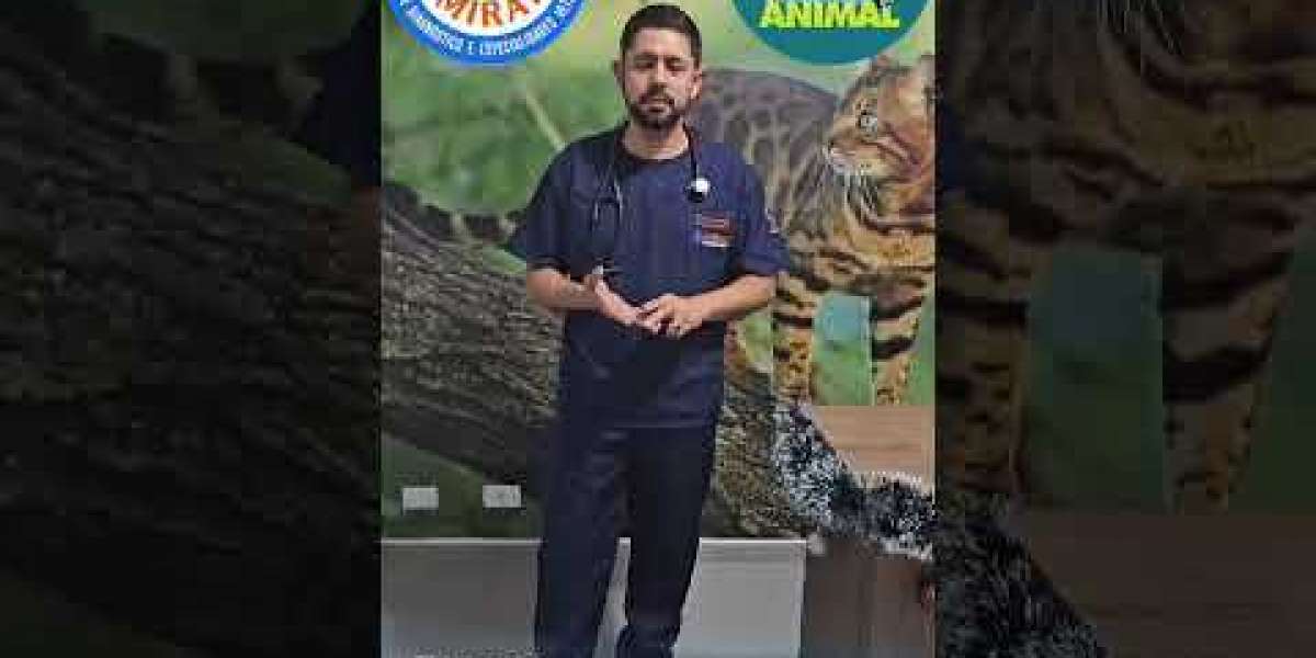 Teste de Supressão com Dexametasona em Gatos: Uma Nova Perspectiva no Diagnóstico de Doenças Metabólicas Felinas