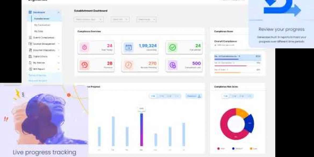 Digiliance Insights: Where Digital Meets Intelligence