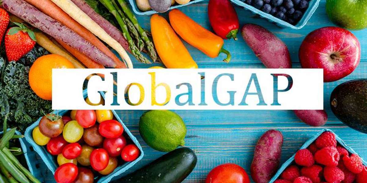 شهادة GLOBALGAP: مفتاحك لتصدير المنتجات الزراعية وفق المعايير العالمية
