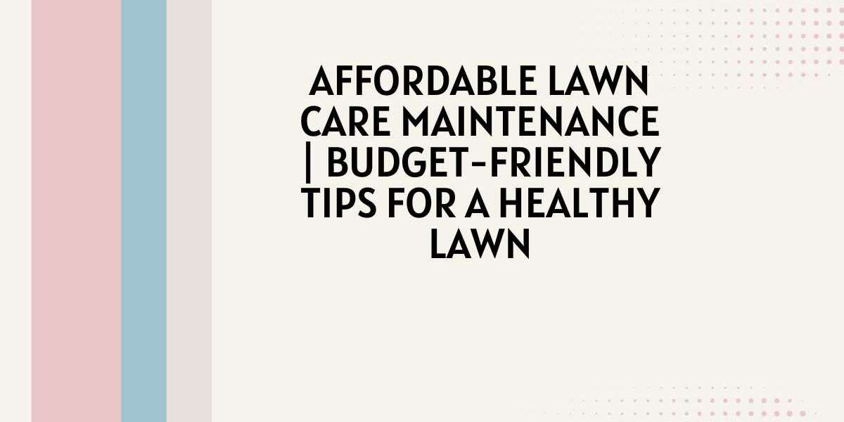 Affordable Lawn Care Maintenance | Budget-Friendly Tips for a Healthy Lawn