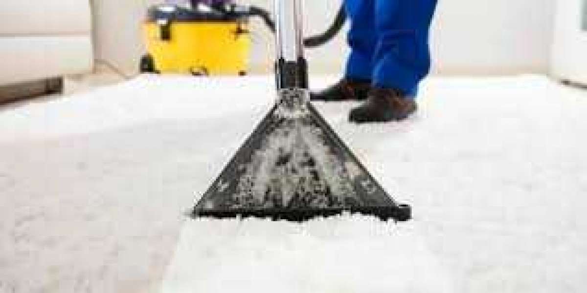 How Expert Carpet Cleaning Improves Home Comfort and Wellness