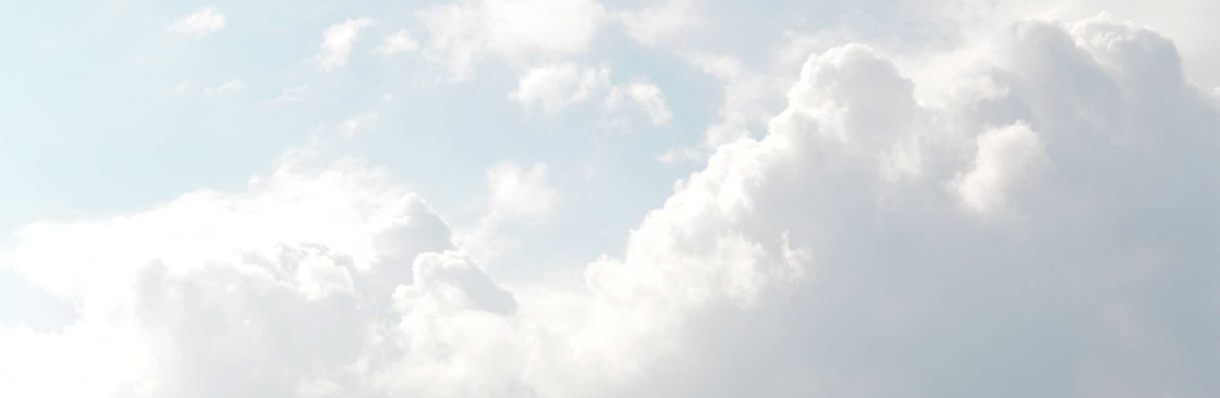 airlines missed flight Cover Image