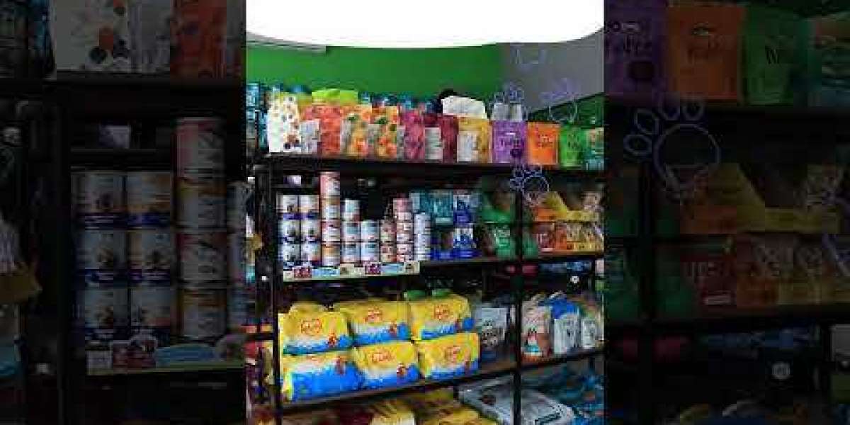 Exame de Urina: O Que ele Pode Revelar Sobre Sua Saúde?