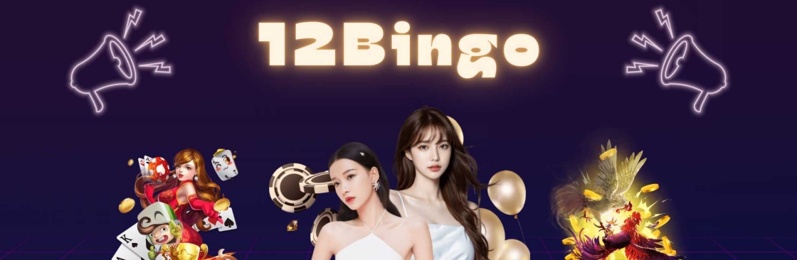 12 Bingo Cover Image
