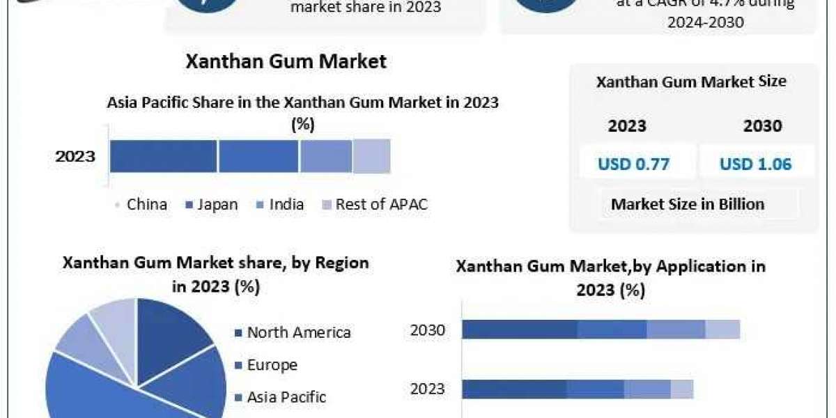 Xanthan Gum Market Business Strategy And Revolutionary Opportunities