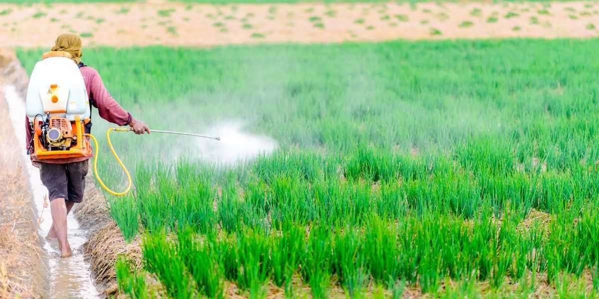 Australia Biopesticides Market: A Green Revolution in Agriculture