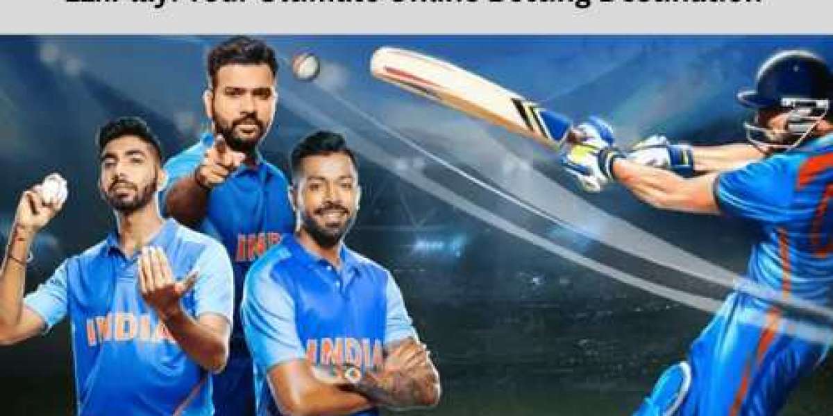 Experience Top-Tier Sports and Casino Betting with 11xPlay