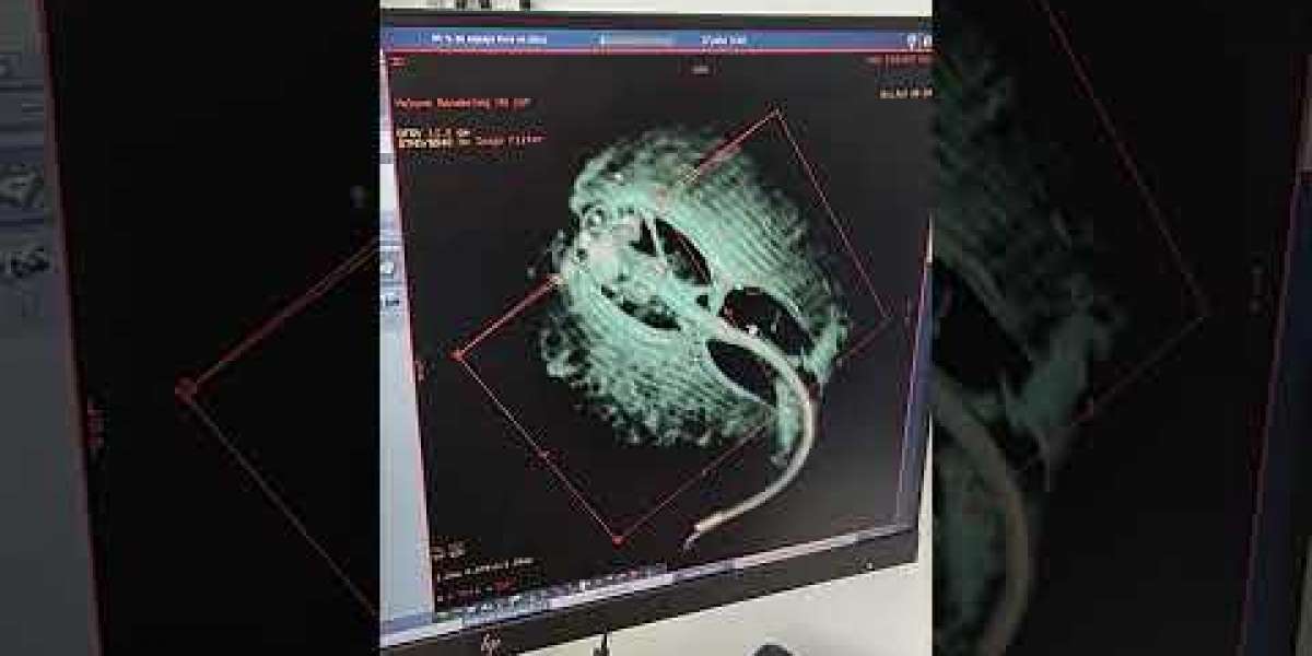 Diagnóstico Preciso: O Papel Vital dos Laboratórios Veterinários no Combate ao Câncer Animal