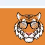 Tiger Exch Profile Picture