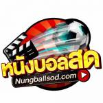 aunaun chaawer Profile Picture